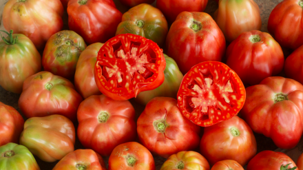 Captura de pantalla 2012-11-12 a la(s) 08.38.47