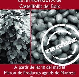 CARTELL__TAST DE CASTELLFOLLIT DEL BOIX