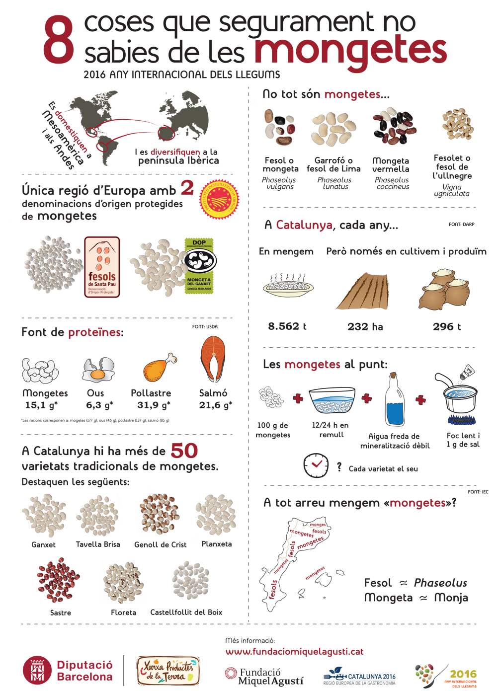 Cartell_mongetes
