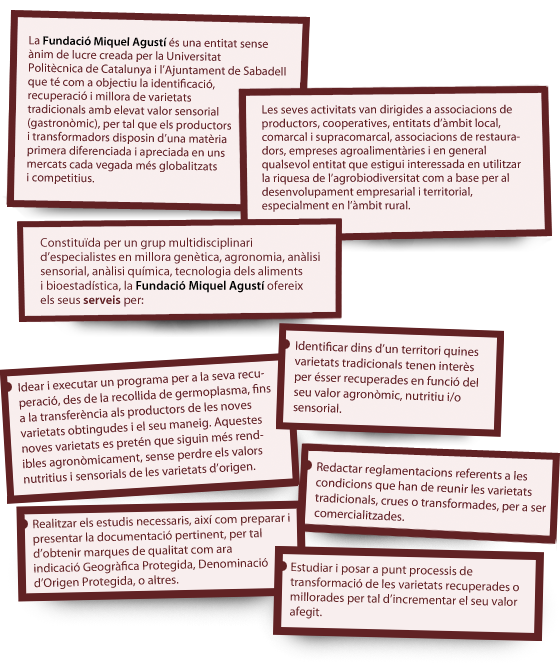 La Fundaci� Miquel Agust�