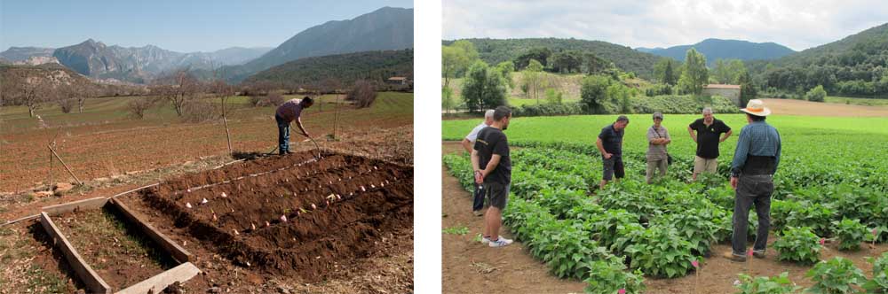 agricultura espais naturals